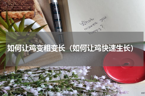 如何让鸡变粗变长（如何让鸡快速生长）