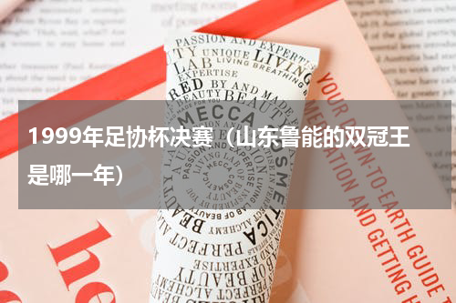 1999年足协杯决赛（山东鲁能的双冠王是哪一年）