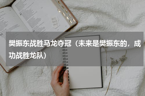 樊振东战胜马龙夺冠（未来是樊振东的，成功战胜龙队）