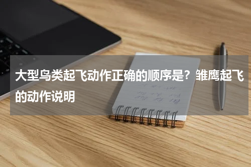 大型鸟类起飞动作正确的顺序是？雏鹰起飞的动作说明