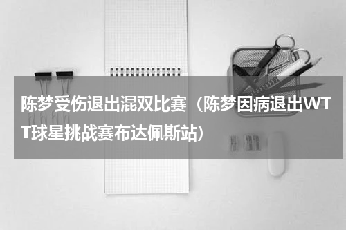 陈梦受伤退出混双比赛（陈梦因病退出WTT球星挑战赛布达佩斯站）