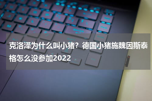 克洛泽为什么叫小猪？德国小猪施魏因斯泰格怎么没参加2022