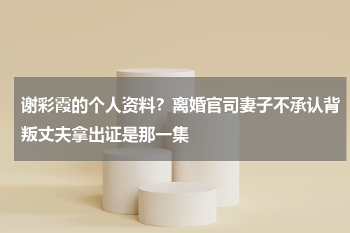 谢彩霞的个人资料？离婚官司妻子不承认背叛丈夫拿出证是那一集