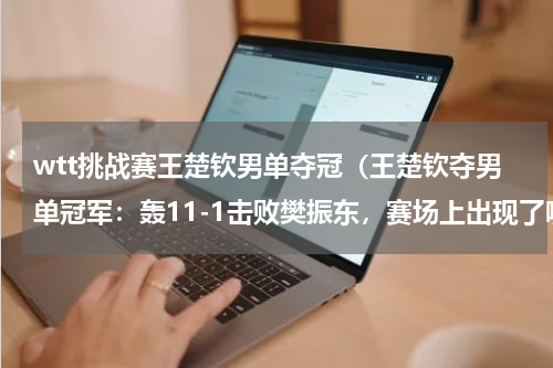 wtt挑战赛王楚钦男单夺冠（王楚钦夺男单冠军：轰11-1击败樊振东，赛场上出现了哪些燃爆瞬间）