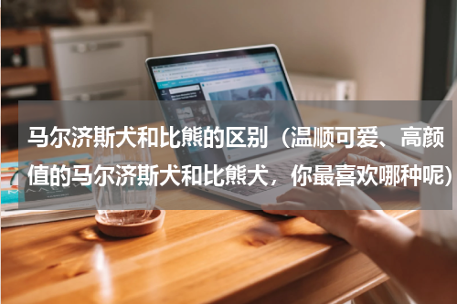 马尔济斯犬和比熊的区别（温顺可爱、高颜值的马尔济斯犬和比熊犬，你最喜欢哪种呢）