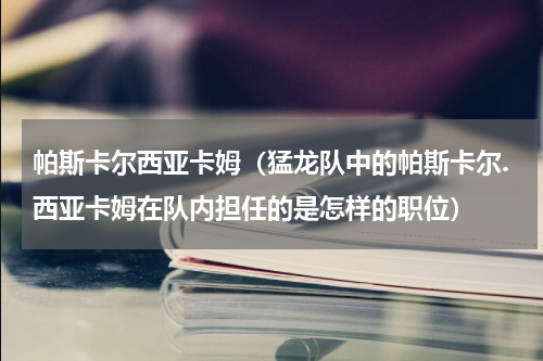 帕斯卡尔西亚卡姆（猛龙队中的帕斯卡尔.西亚卡姆在队内担任的是怎样的职位）