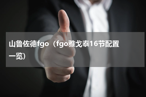 山鲁佐德fgo（fgo雅戈泰16节配置一览）