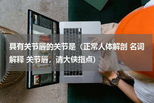 具有关节唇的关节是（正常人体解剖 名词解释 关节唇，请大侠指点）