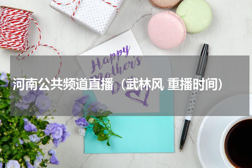 河南公共频道直播（武林风 重播时间）