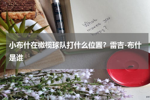 小布什在橄榄球队打什么位置？雷吉-布什是谁