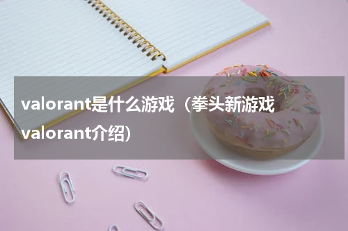 valorant是什么游戏（拳头新游戏valorant介绍）