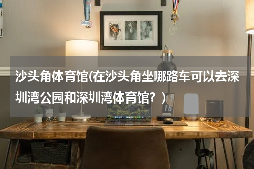 沙头角体育馆(在沙头角坐哪路车可以去深圳湾公园和深圳湾体育馆？)