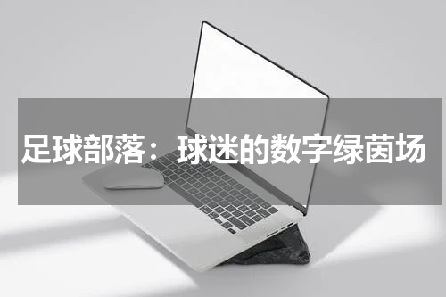 足球部落：球迷的数字绿茵场