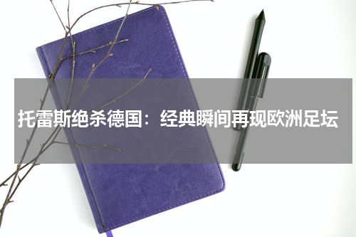 托雷斯绝杀德国：经典瞬间再现欧洲足坛