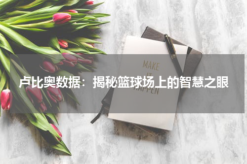 卢比奥数据：揭秘篮球场上的智慧之眼
