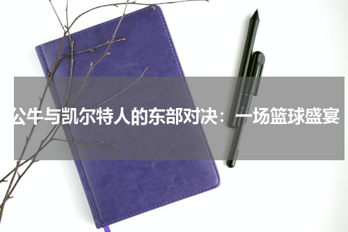 公牛与凯尔特人的东部对决：一场篮球盛宴