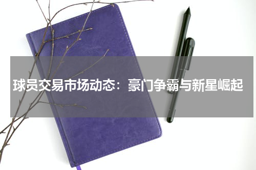 球员交易市场动态：豪门争霸与新星崛起