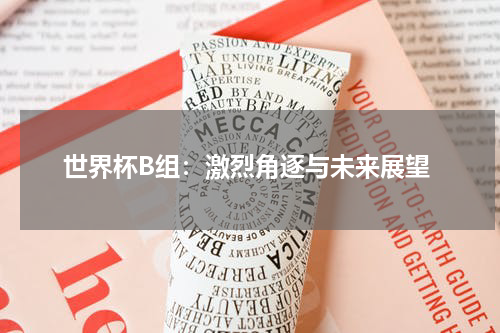 世界杯B组：激烈角逐与未来展望