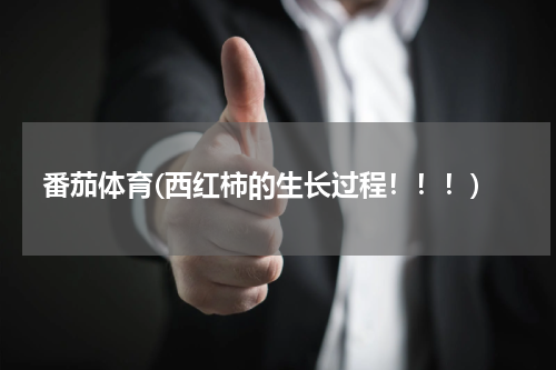 番茄体育(西红柿的生长过程！！！)