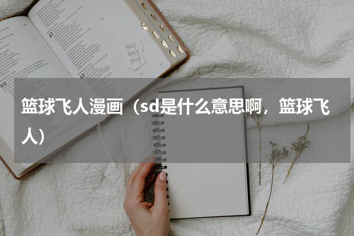 篮球飞人漫画（sd是什么意思啊，篮球飞人）