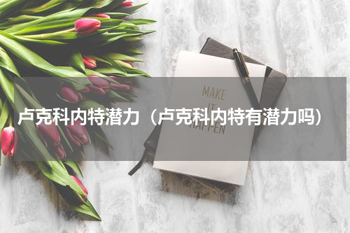 卢克科内特潜力（卢克科内特有潜力吗）