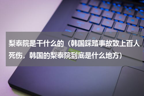 梨泰院是干什么的（韩国踩踏事故致上百人死伤，韩国的梨泰院到底是什么地方）