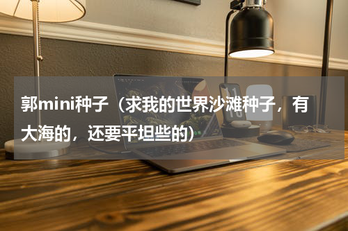 郭mini种子（求我的世界沙滩种子，有大海的，还要平坦些的）