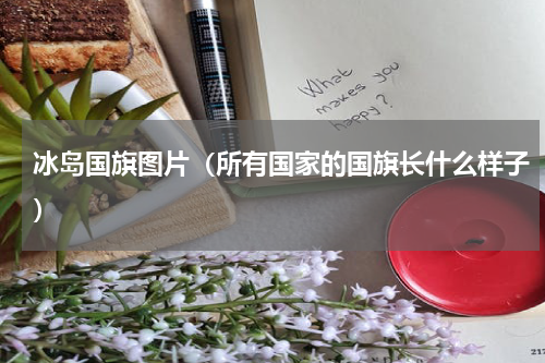 冰岛国旗图片（所有国家的国旗长什么样子）