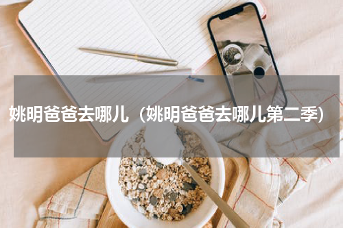 姚明爸爸去哪儿（姚明爸爸去哪儿第二季）