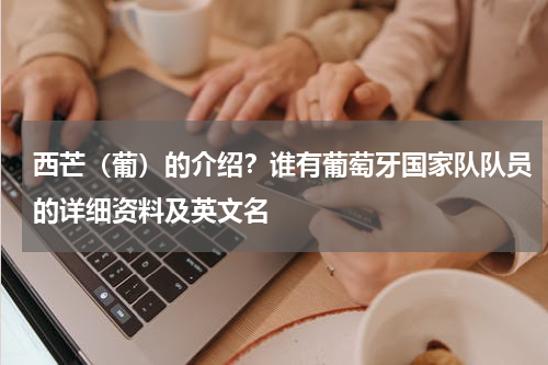 西芒（葡）的介绍？谁有葡萄牙国家队队员的详细资料及英文名