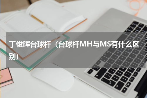 丁俊晖台球杆（台球杆MH与MS有什么区别）